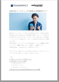 中国マーケットのSNSレポート